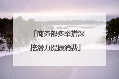 商务部多举措深挖潜力提振消费