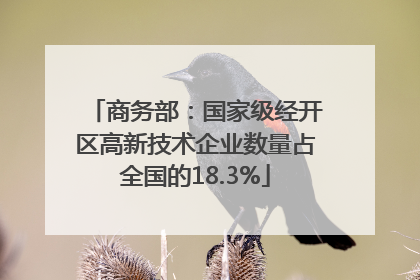 商务部：国家级经开区高新技术企业数量占全国的18.3%