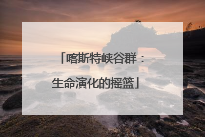 喀斯特峡谷群：生命演化的摇篮
