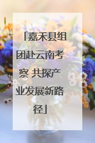 嘉禾县组团赴云南考察 共探产业发展新路径