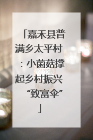 嘉禾县普满乡太平村：小菌菇撑起乡村振兴“致富伞”