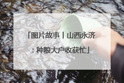 图片故事丨山西永济：种粮大户收获忙