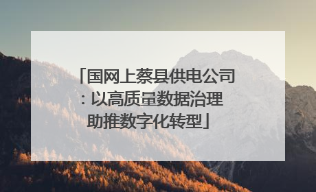 国网上蔡县供电公司：以高质量数据治理 助推数字化转型