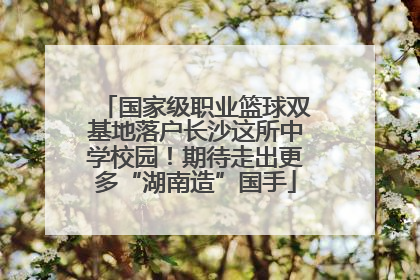 国家级职业篮球双基地落户长沙这所中学校园！期待走出更多“湖南造”国手