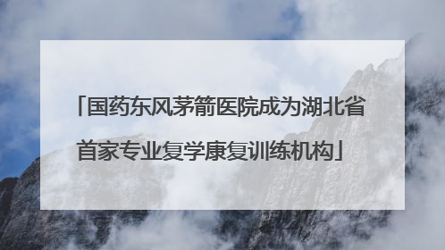 国药东风茅箭医院成为湖北省首家专业复学康复训练机构