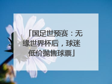 国足世预赛：无缘世界杯后，球迷低价抛售球票