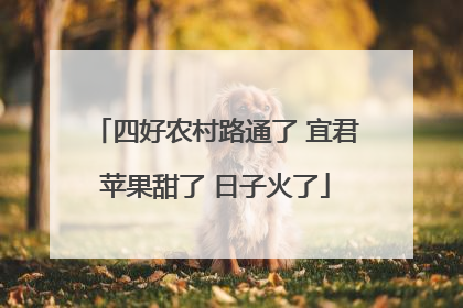 四好农村路通了 宜君苹果甜了 日子火了