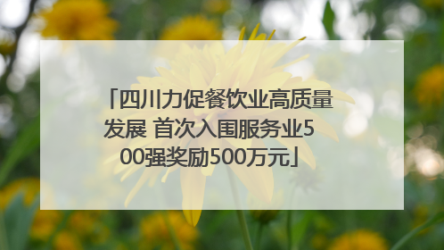 四川力促餐饮业高质量发展 首次入围服务业500强奖励500万元
