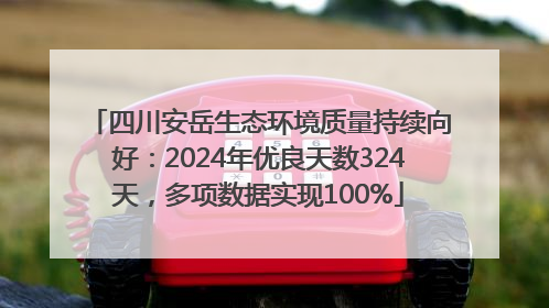 四川安岳生态环境质量持续向好：2024年优良天数324天，多项数据实现100%