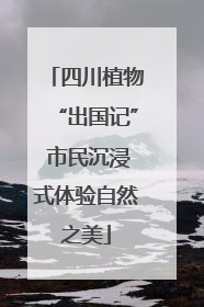 四川植物“出国记” 市民沉浸式体验自然之美