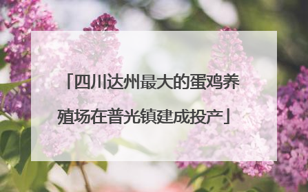 四川达州最大的蛋鸡养殖场在普光镇建成投产