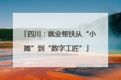 四川：就业帮扶从“小摊”到“数字工匠”