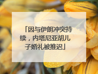 因与伊朗冲突持续，内塔尼亚胡儿子婚礼被推迟