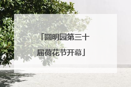 圆明园第三十届荷花节开幕