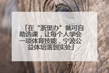在“浙里办”就可自助选课，让每个人学会一项体育技能，宁波公益体培落到实处