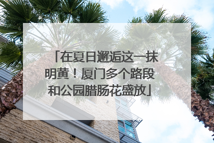 在夏日邂逅这一抹明黄！厦门多个路段和公园腊肠花盛放