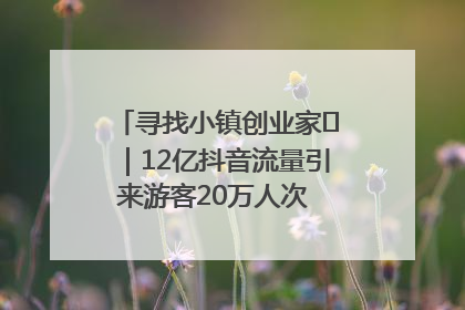 寻找小镇创业家㊱｜12亿抖音流量引来游客20万人次 “襄阳许三多”爆改家乡打造网红村