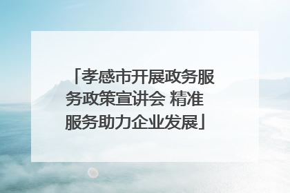 孝感市开展政务服务政策宣讲会 精准服务助力企业发展
