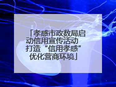 孝感市政数局启动信用宣传活动 打造“信用孝感”优化营商环境
