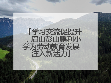 学习交流促提升，眉山彭山鹏利小学为劳动教育发展注入新活力