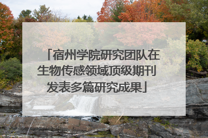 宿州学院研究团队在生物传感领域顶级期刊发表多篇研究成果