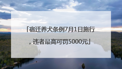 宿迁养犬条例7月1日施行，违者最高可罚5000元