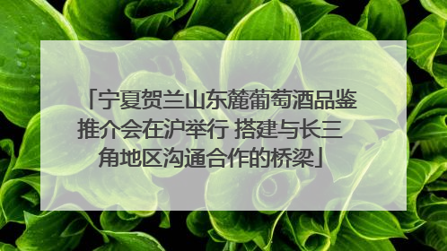 宁夏贺兰山东麓葡萄酒品鉴推介会在沪举行 搭建与长三角地区沟通合作的桥梁