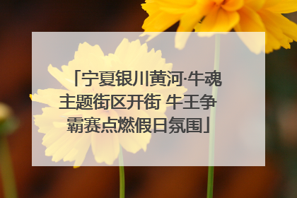 宁夏银川黄河·牛魂主题街区开街 牛王争霸赛点燃假日氛围