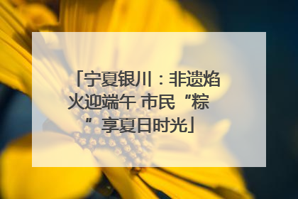宁夏银川：非遗焰火迎端午 市民“粽”享夏日时光