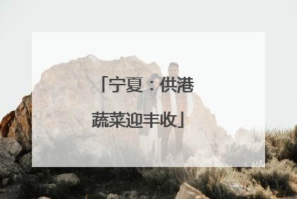 宁夏：供港蔬菜迎丰收