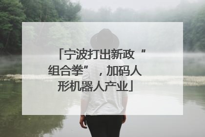 宁波打出新政“组合拳”，加码人形机器人产业