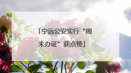 宁远公安实行“周末办证”获点赞