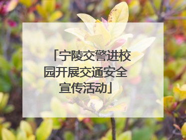 宁陵交警进校园开展交通安全宣传活动