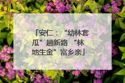 安仁：“幼林套瓜”趟新路 “林地生金”富乡亲