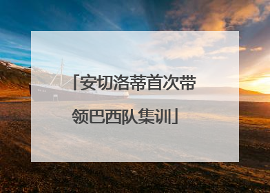 安切洛蒂首次带领巴西队集训