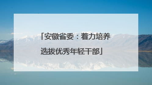 安徽省委：着力培养选拔优秀年轻干部