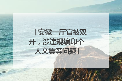 安徽一厅官被双开，涉违规编印个人文集等问题