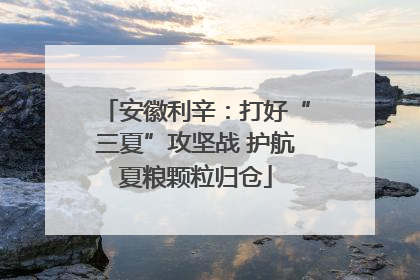 安徽利辛：打好“三夏”攻坚战 护航夏粮颗粒归仓