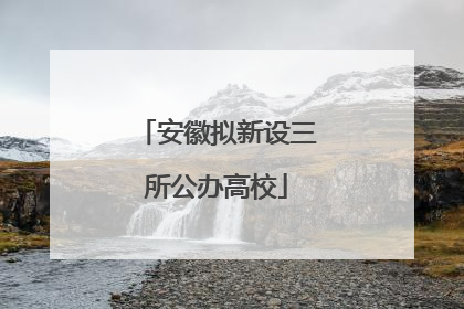 安徽拟新设三所公办高校