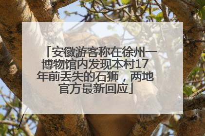 安徽游客称在徐州一博物馆内发现本村17年前丢失的石狮，两地官方最新回应