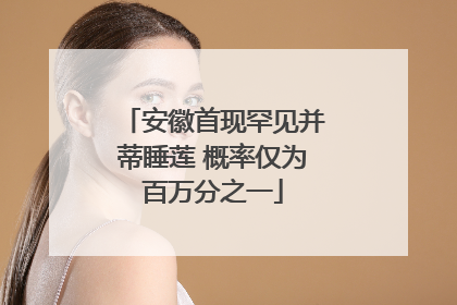 安徽首现罕见并蒂睡莲 概率仅为百万分之一