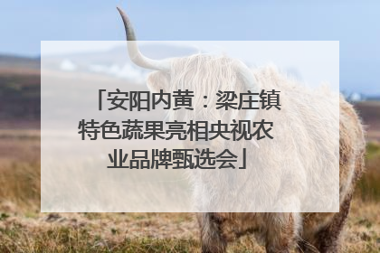 安阳内黄：梁庄镇特色蔬果亮相央视农业品牌甄选会