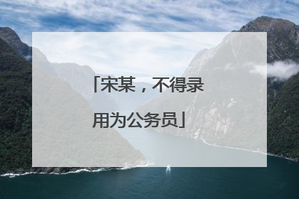 宋某，不得录用为公务员