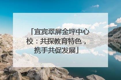 宜宾翠屏金坪中心校：共探教育特色，携手共促发展