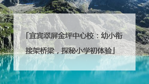 宜宾翠屏金坪中心校：幼小衔接架桥梁，探秘小学初体验
