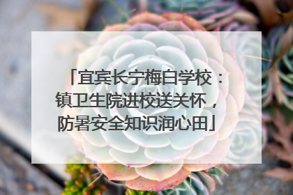 宜宾长宁梅白学校：镇卫生院进校送关怀，防暑安全知识润心田