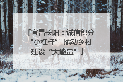 宜昌长阳：诚信积分“小杠杆” 撬动乡村建设“大能量”