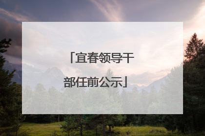 宜春领导干部任前公示