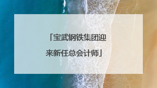 宝武钢铁集团迎来新任总会计师