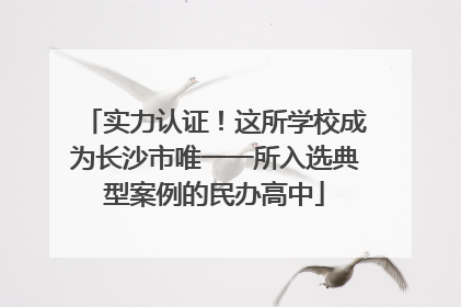 实力认证！这所学校成为长沙市唯一一所入选典型案例的民办高中